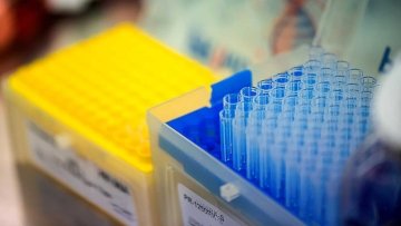 bingo plus reward points login registration