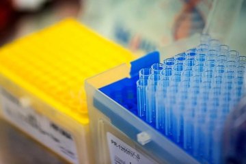 bingo plus net rewards login